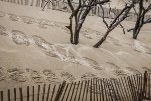 a famoso duna do pyla cercas, a Altíssima areia duna dentro Europa foto