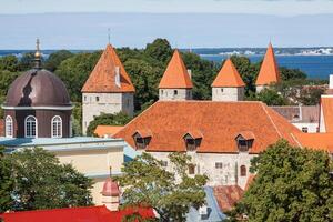 Visão do a velho Cidade tallinn, Estônia foto