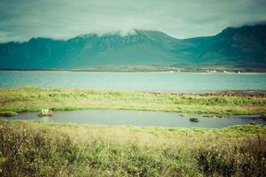 bela paisagem da noruega, escandinávia foto