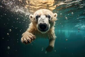 ai gerado polar Urso natação embaixo da agua dentro a água. polar Urso natação embaixo da agua, uma polar Urso natação embaixo da agua dentro uma brincalhão ambiente, ai gerado foto