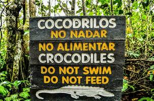 uma placa este diz crocodilos Faz não nadar Faz não alimentação foto