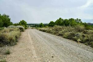 uma cascalho estrada dentro a meio do uma campo foto