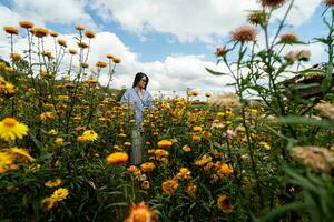 jovem mulher viajante desfrutando com florescendo amarelo xerochrysum bracteatum jardim dentro dalat, Vietnã foto