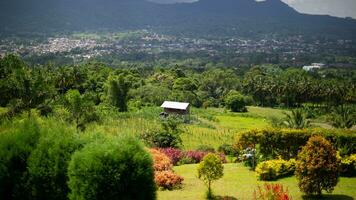 lindo natureza cenário foto