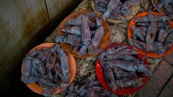 fresco frutos do mar em a peixe mercado foto
