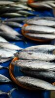 fresco frutos do mar em a peixe mercado foto