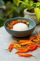 fumaça carne com Pimenta e arroz foto