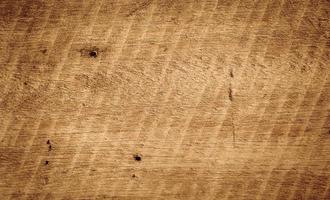 textura de madeira, fundo de pranchas de madeira e madeira velha. foto