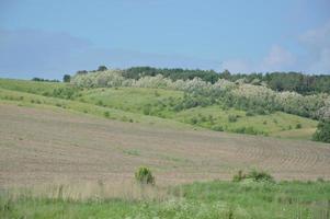 um campo arado nas colinas