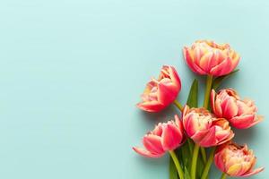 flores da primavera, tulipas em fundo de cores pastel. estilo vintage retro. foto