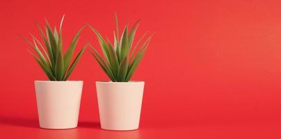 dois cactos artificiais ou planta de plástico ou árvore falsa em fundo vermelho. foto