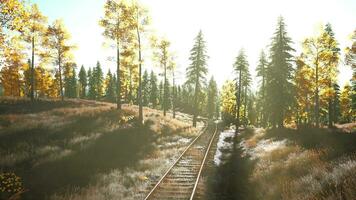 uma trem rastrear corte através uma exuberante floresta às pôr do sol foto