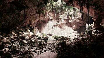 impressionante caverna antiga na floresta tropical foto