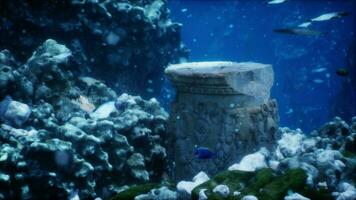 afundado sobras do velho civilização revestido dentro algas e coral em mar cama foto