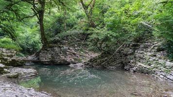 bela floresta e rio de montanha em psakho canyon, krasnodar krai, rússia. foto