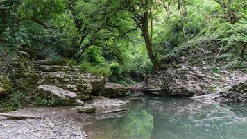 bela floresta e rio de montanha em psakho canyon, krasnodar krai, rússia. foto