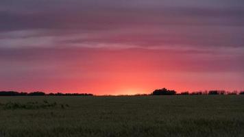 lindo pôr do sol sobre o campo blagoveshenskaya, rússia foto