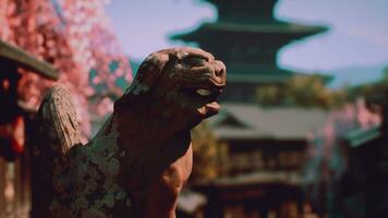 lindo tample dentro Quioto Japão foto