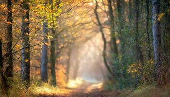 ai gerado floresta dentro a manhã foto