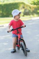 pequeno criança equitação uma bicicleta sem pedais verão foto