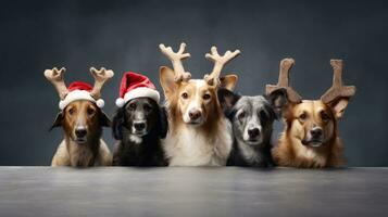 ai gerado fofa cachorro rouco Lobo cachorro com Natal presente caixas conceito foto poster alegre presente vermelho Novo ano