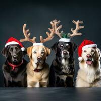 ai gerado fofa cachorro rouco Lobo cachorro com Natal presente caixas conceito foto poster alegre presente vermelho Novo ano