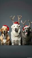 ai gerado fofa cachorro rouco Lobo cachorro com Natal presente caixas conceito foto poster alegre presente vermelho Novo ano