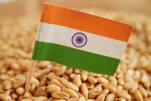 Índia bandeira em grão trigo, comércio exportação e economia conceito. foto