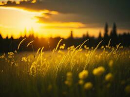 ai gerado abstrato suave foco pôr do sol campo panorama do amarelo flores e Relva Prado caloroso dourado hora pôr do sol nascer do sol tempo. tranquilo Primavera verão natureza fechar-se e borrado floresta fundo. foto