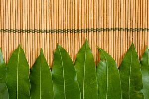 verde folhas contra bambu descanso de mesa foto