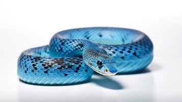 ai gerado azul serpente em uma sólido branco fundo foto