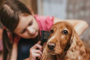 uma pequeno menina para Cuidado para a cachorro e pentear cabelo foto