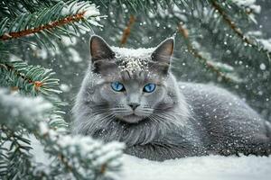 ai gerado cinzento gato com azul olhos dentro neve foto