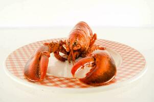 uma lagosta em uma prato com uma xadrez toalha de mesa foto