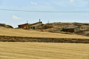 uma campo com uma poucos casas e uma poder linha foto