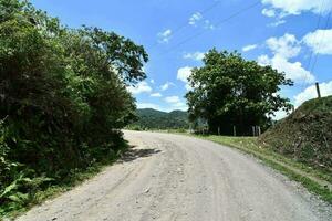 uma sujeira estrada com árvore em lado foto