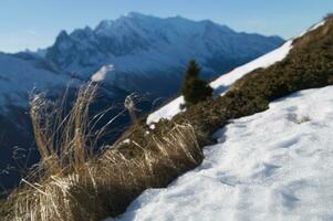 chamonix dentro alta savoie dentro França foto