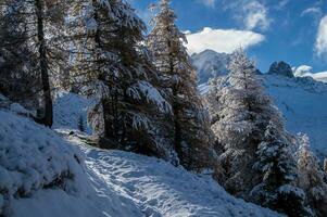 outono e inverno dentro a francês Alpes foto