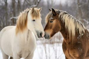 ai gerado rural retrato natureza frio pasto doméstico neve inverno garanhão beleza mamífero cavalos foto