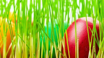 colorida Páscoa ovos. vibrante, festivo feriado decorações simbolizando Primavera celebração e tradicional ornamentado desenhos foto