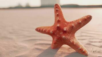 estrelas do mar em a sidade de praia foto