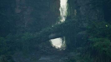 uma lindo pedra ponte no meio uma exuberante floresta panorama foto
