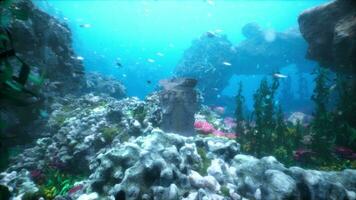 oceano chão detém permanece do velho cidade ou têmpora coberto dentro algas marinhas e coral foto