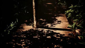 da selva ensolarado brilho ilumina uma torto de madeira caminho foto