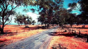 eucalipto floresta plantação e esvaziar rodovia dentro Brasil foto