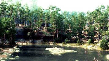 uma rio cercado de árvores e pedras foto