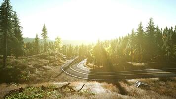 uma sereno e cênico estrada enrolamento através uma pitoresco floresta às pôr do sol foto