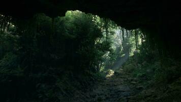 uma misterioso e atmosférico túnel dentro Novo zelândia foto