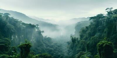 ai gerado generativo ai, amazonense selva nebuloso paisagem, tropical floresta tropical com Palma árvores foto