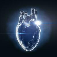 humano coração anatomia interno órgão raio X holograma visualizar. 3d Renderização foto